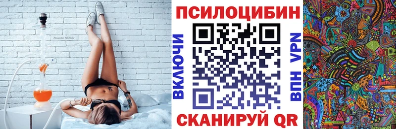 где купить наркоту  KRAKEN сайт  Галлюциногенные грибы Psilocybe  Краснознаменск 